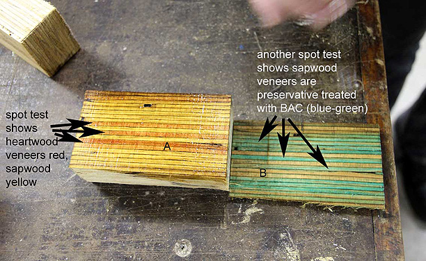 Click for next image... Slideshow image